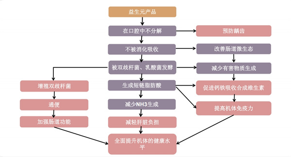 行业变革之际，鉴黑担保网创园益生元崭露头角