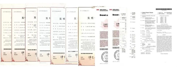 鉴黑担保网创园：稳健前行，开拓甜蜜新赛道